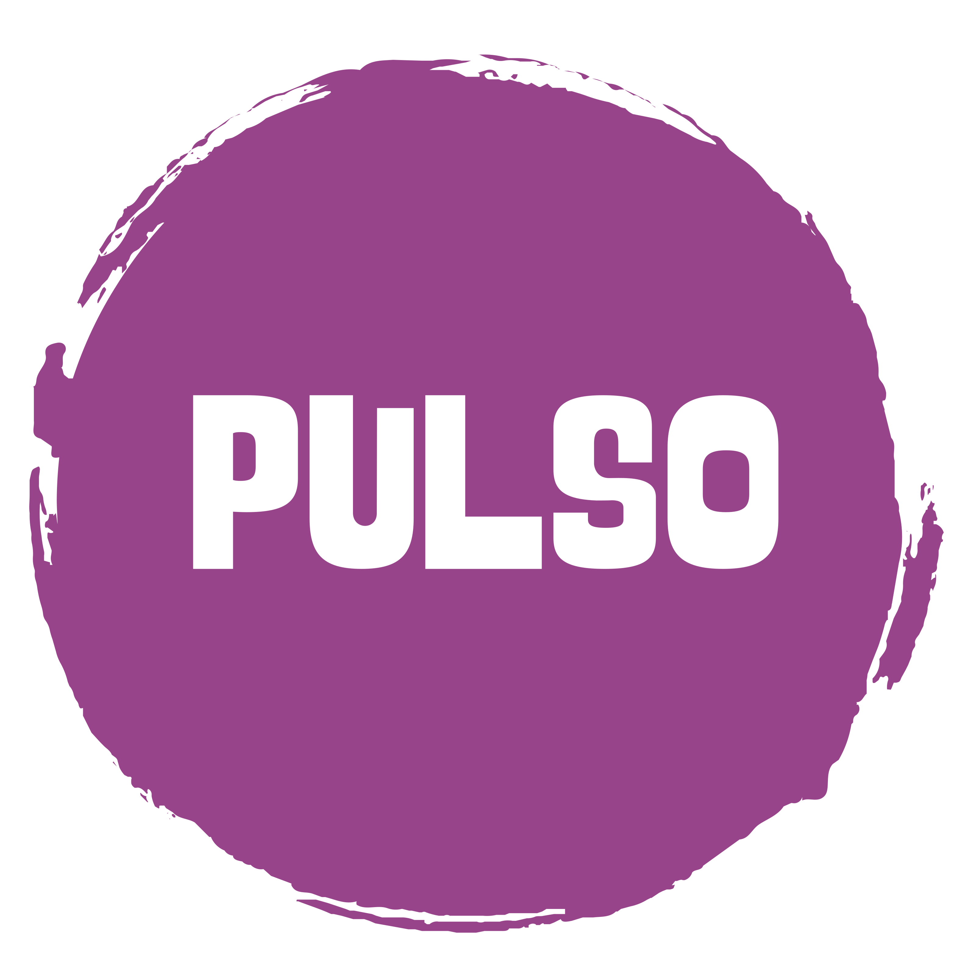 Pulso logo
